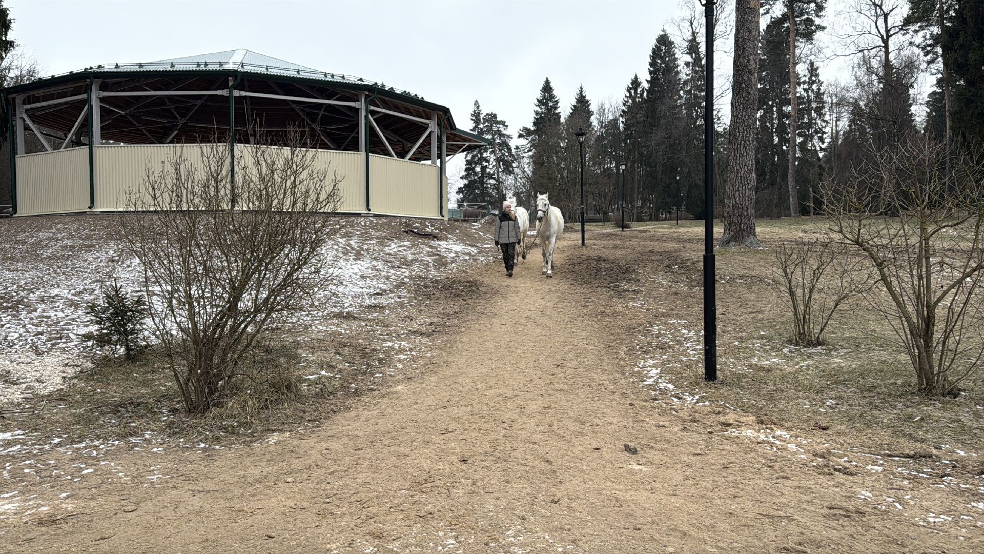 вертикалки, мкз 1, Московский конный завод 1, Одинцовский округ, Первые в стране,