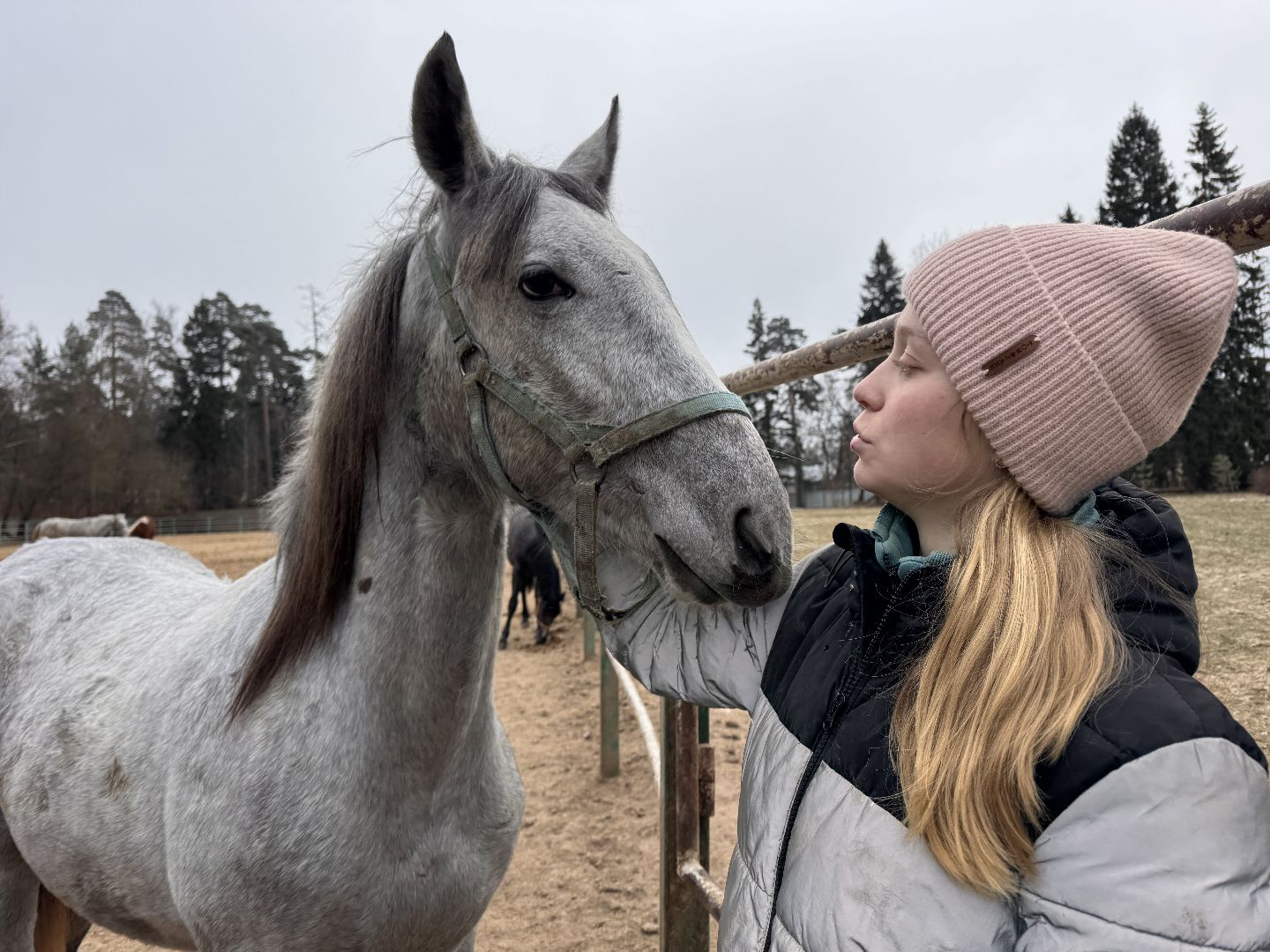 вертикалки, мкз 1, Московский конный завод 1, Одинцовский округ, Первые в стране,