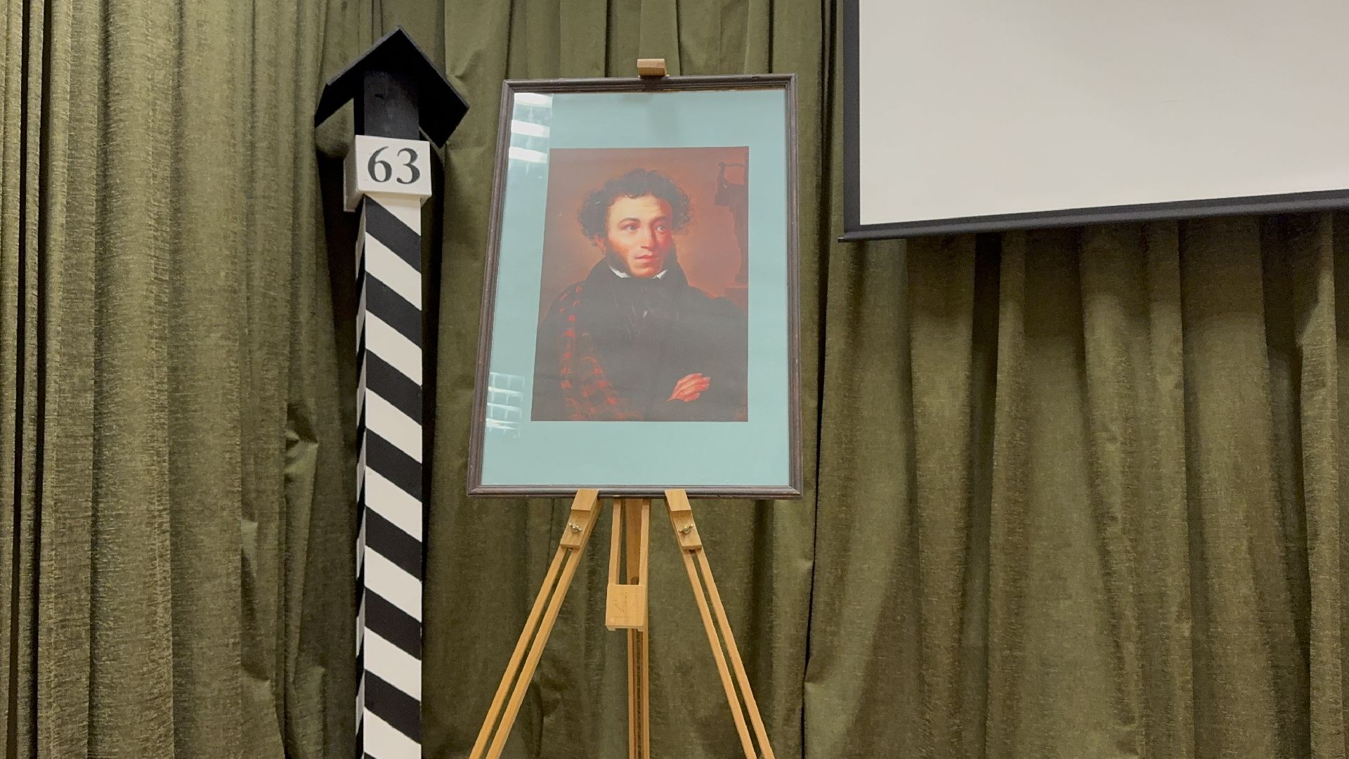 солнечногорск, образовательная пррграмма, школьники, творчество пушкина, вертикалки,