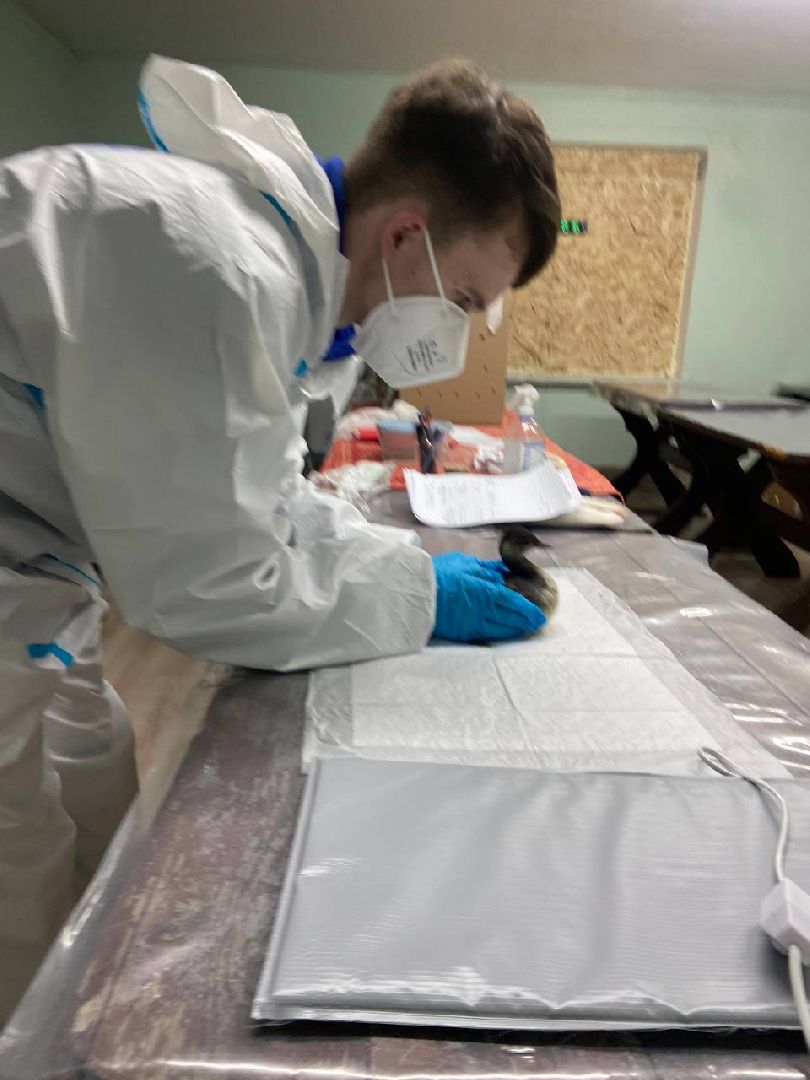 Дмитров, Волонтеры, ЧП на Черном море,