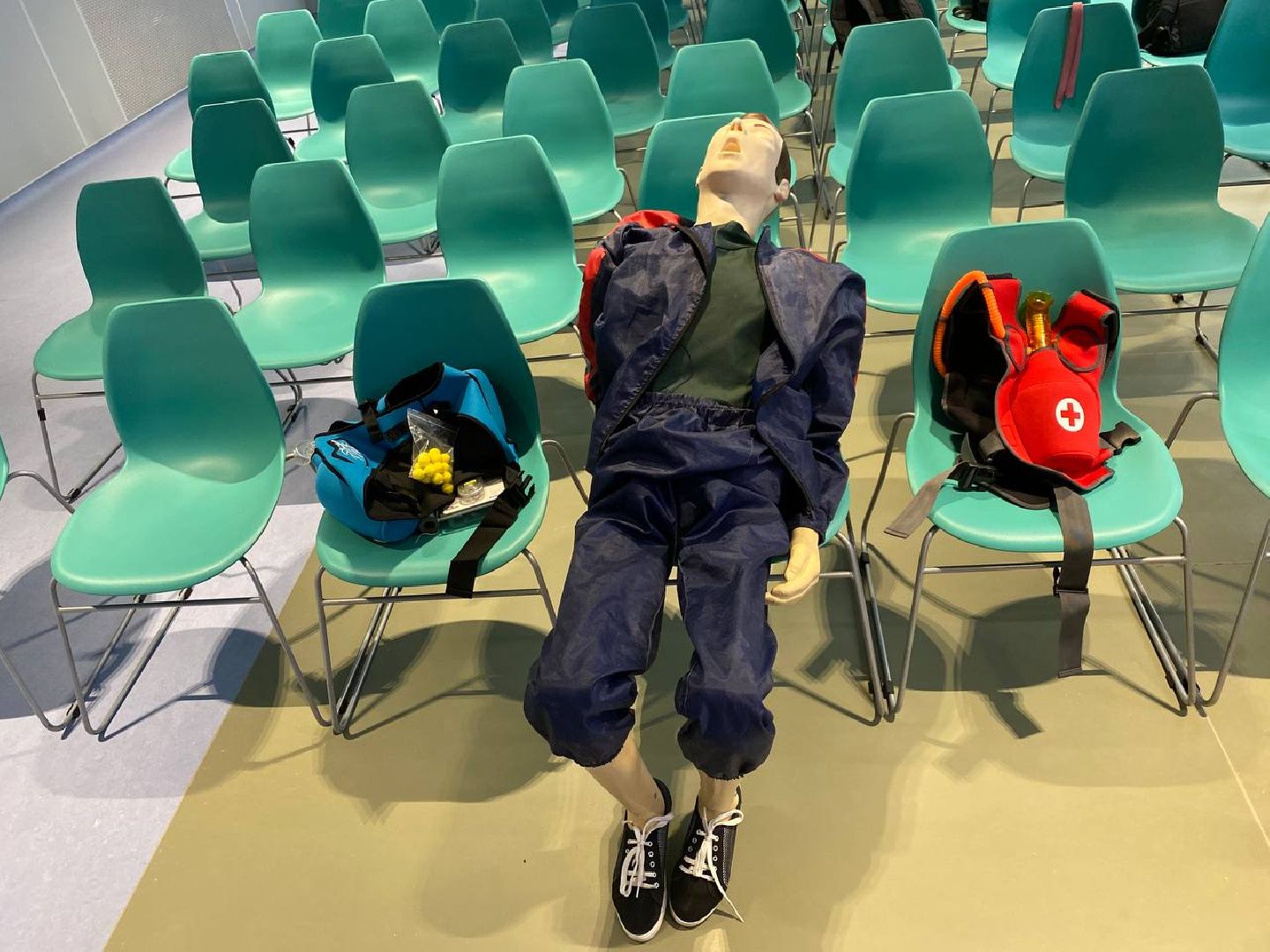 вертикалки, дмитрийхубезов, детскийцентррошаля, мастеркласспервойпомощи, министрздравохраненияреспубликиалтай,