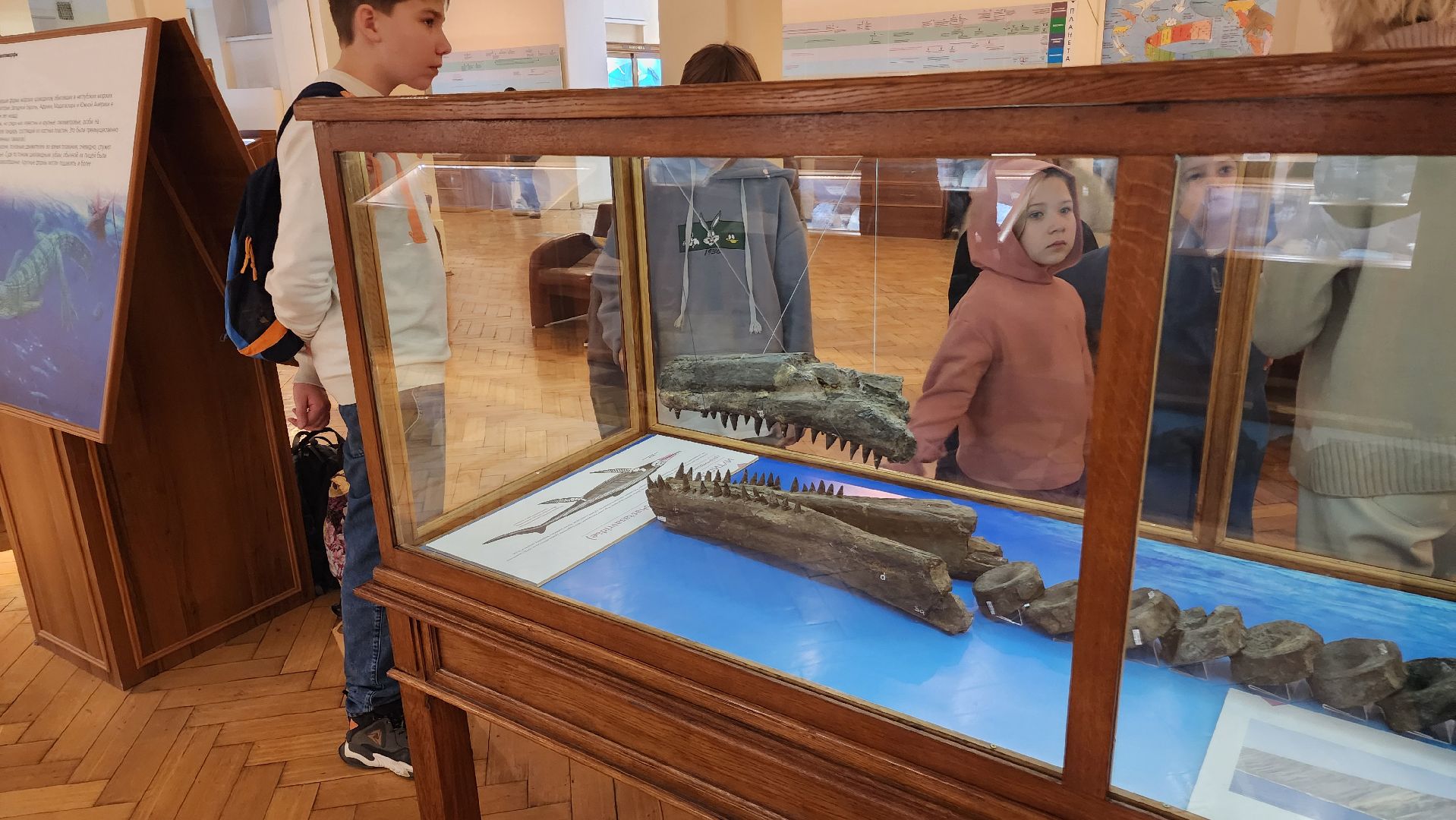 ступино, образование, культура,