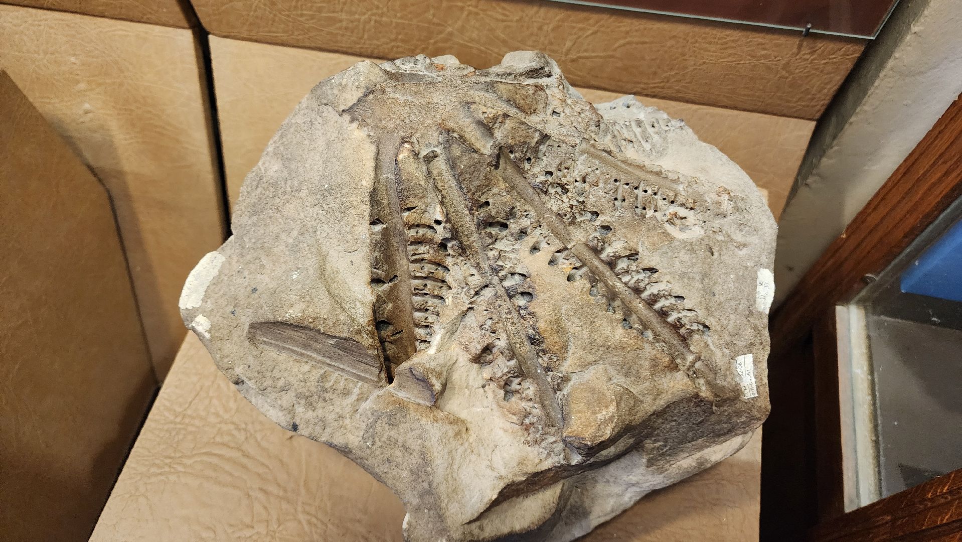 ступино, образование, культура,