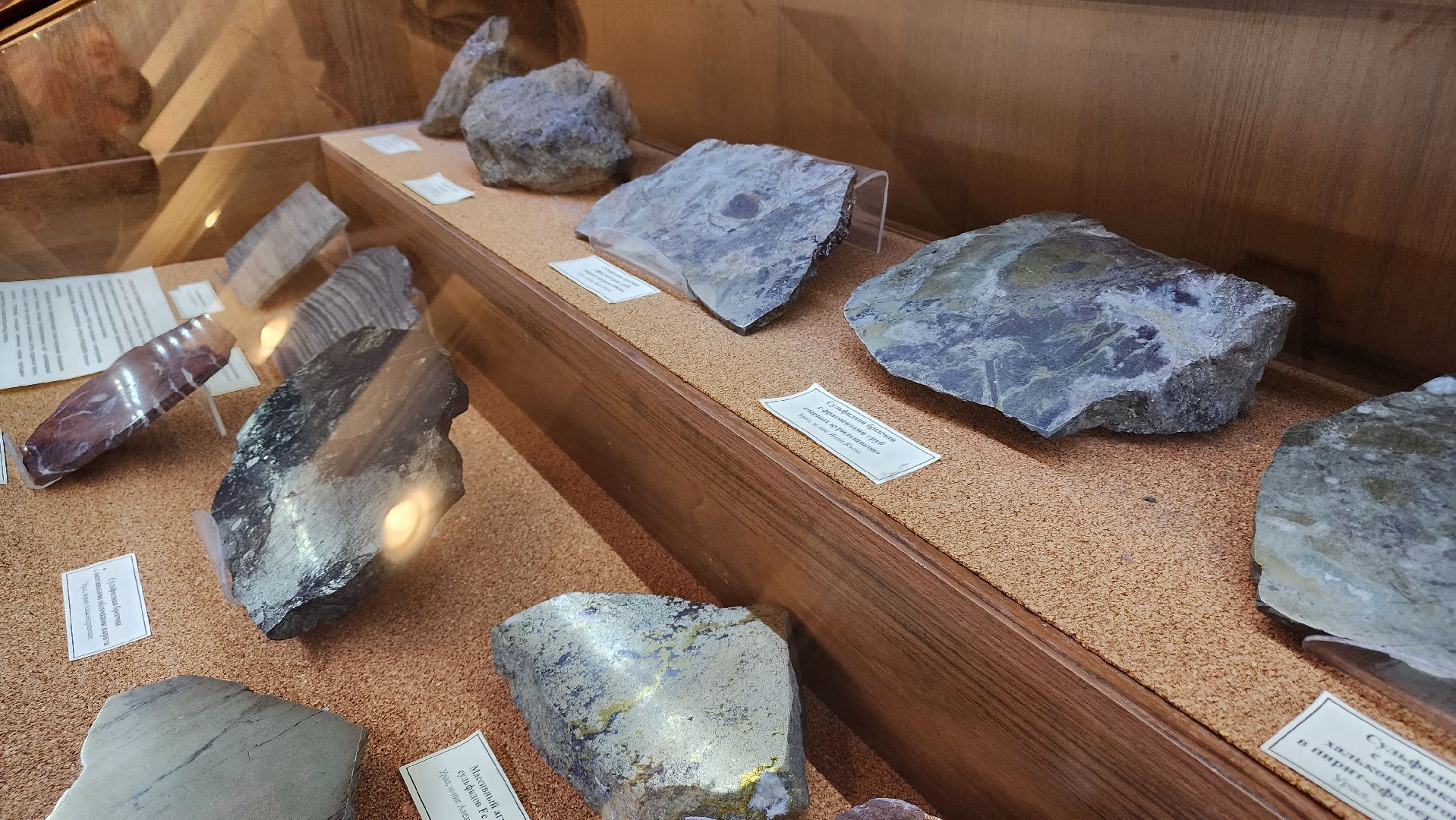 ступино, образование, культура,