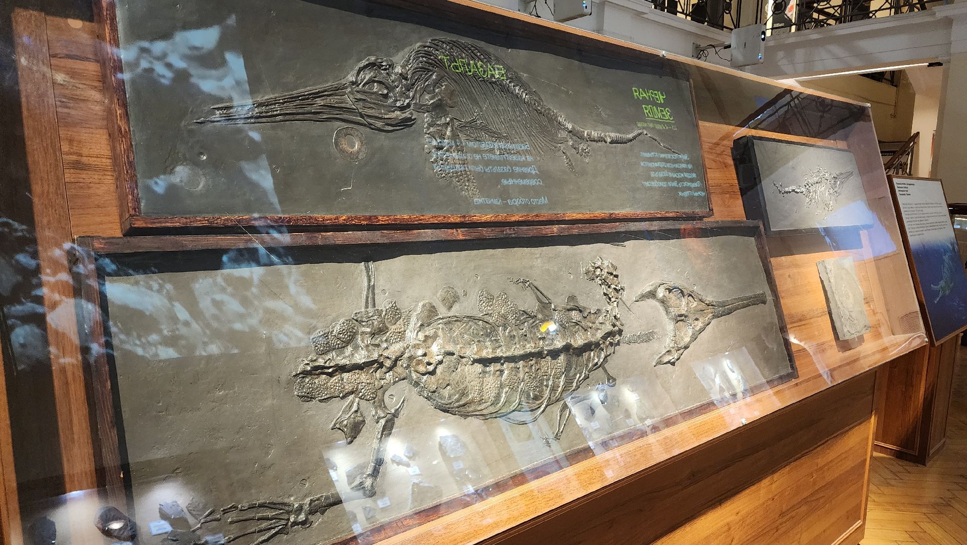 ступино, образование, культура,