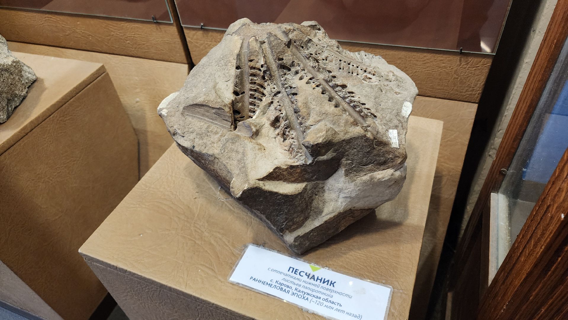 ступино, образование, культура,