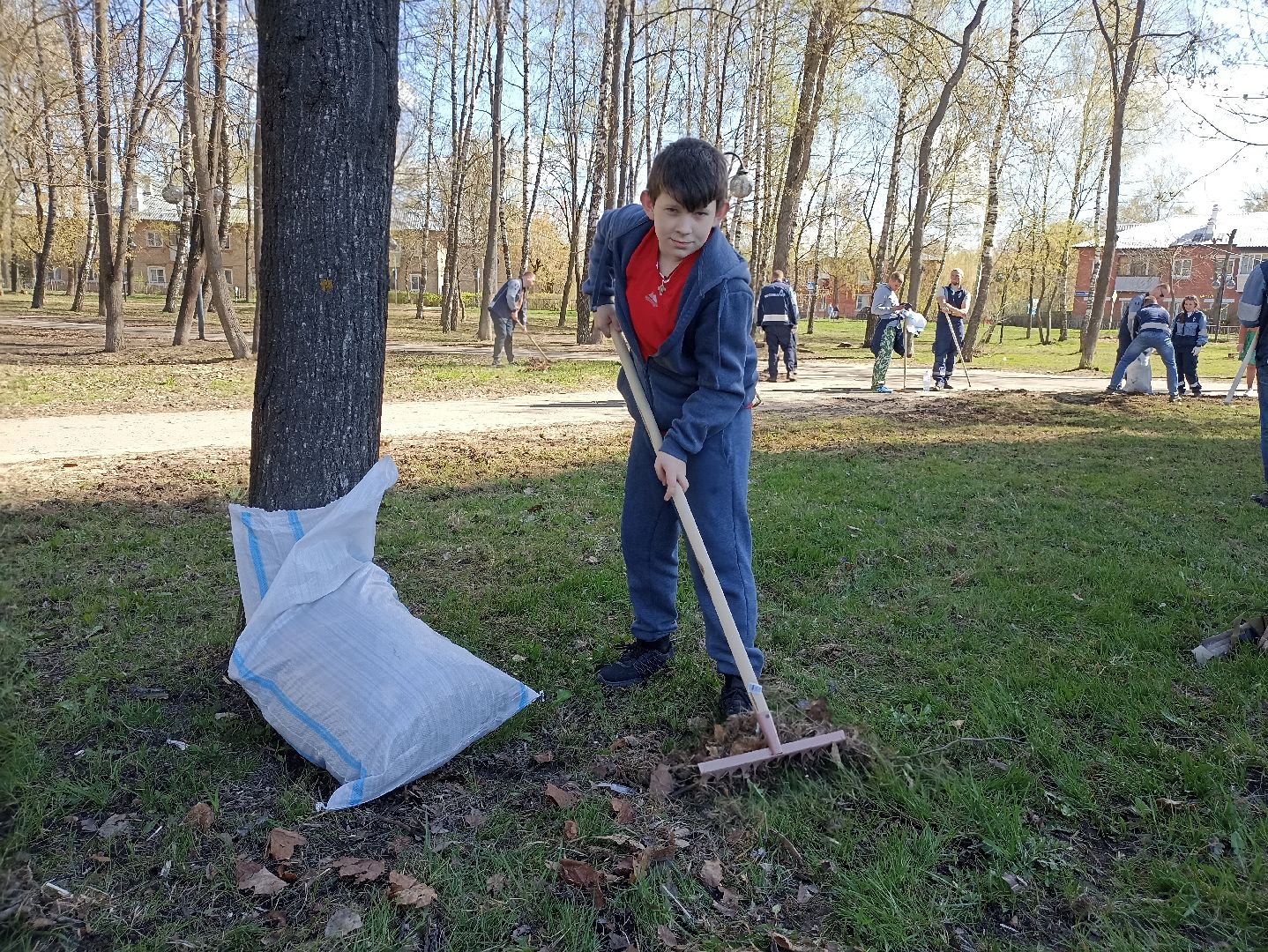 Серпухов, Подмосковье, уборка, субботник, парк