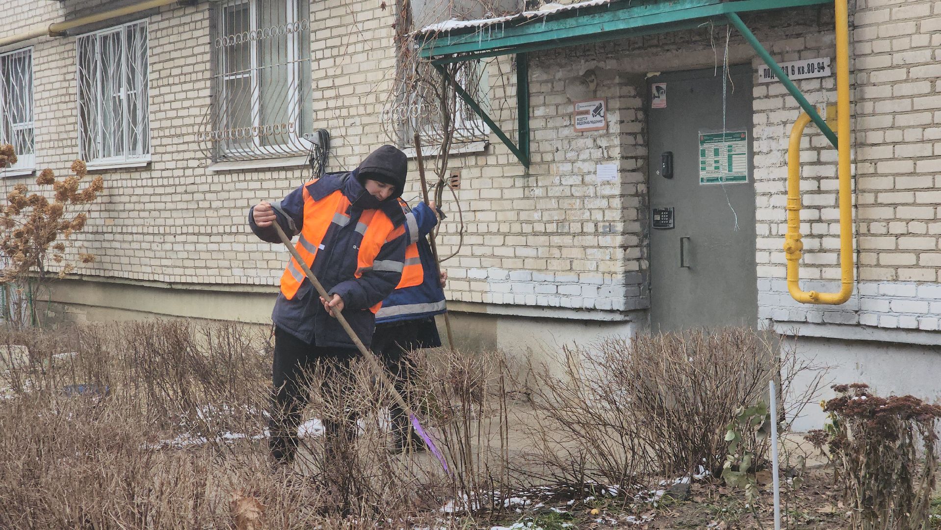 вертикалки, пушкино, уборка двора, коммунальное предприятие, урны для мусора,