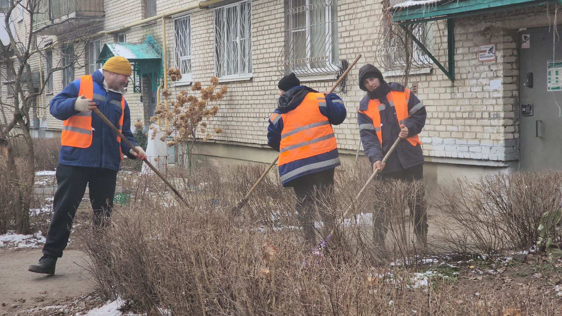 вертикалки, пушкино, уборка двора, коммунальное предприятие, урны для мусора,