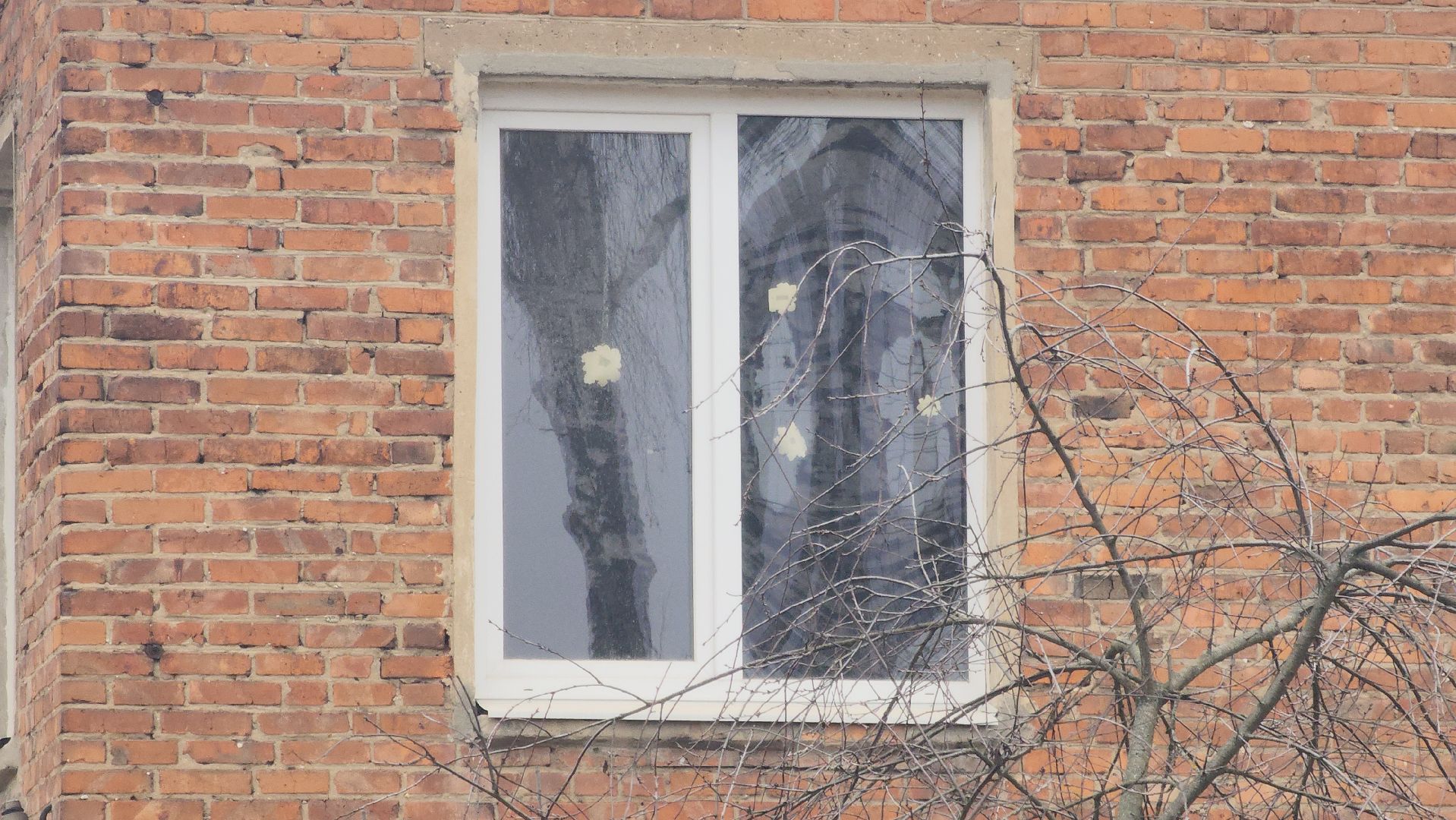 вертикалки, Павловский Посад, Образование, Ремонт,