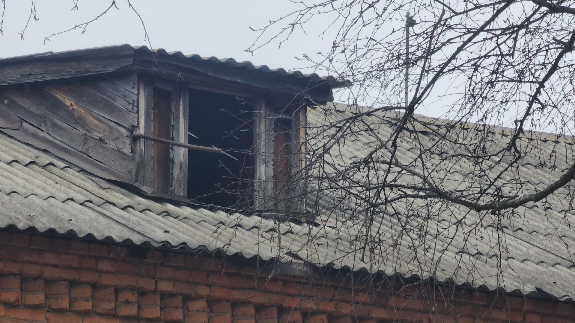 вертикалки, Павловский Посад, Образование, Ремонт,