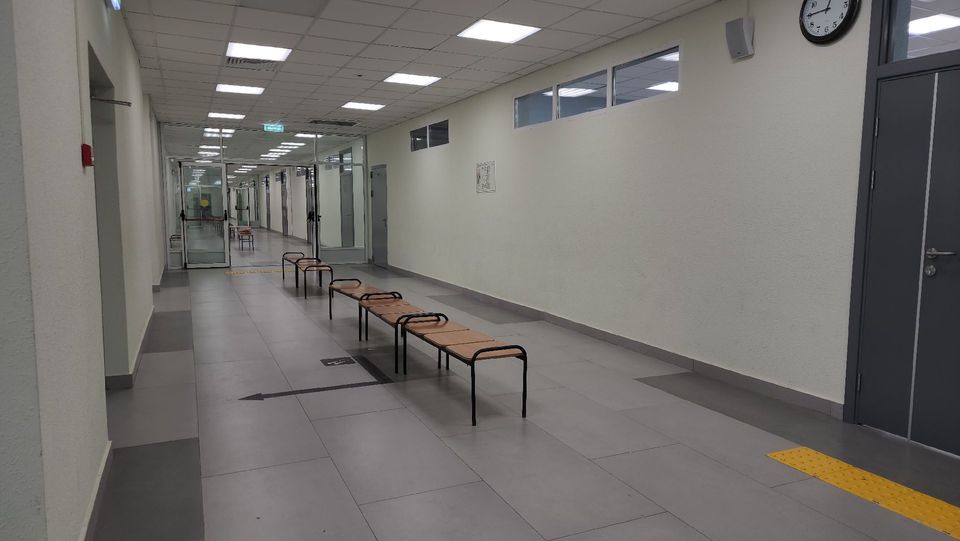 пушкино, заветы ильича, новая школа, школа 2, агроклассы, инновации, профильные предметы,профориентация,современная школа,начальная школа,