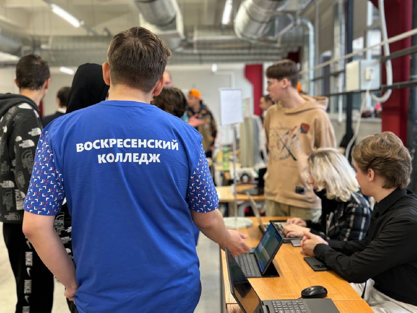 воскресенск, образование, овз,