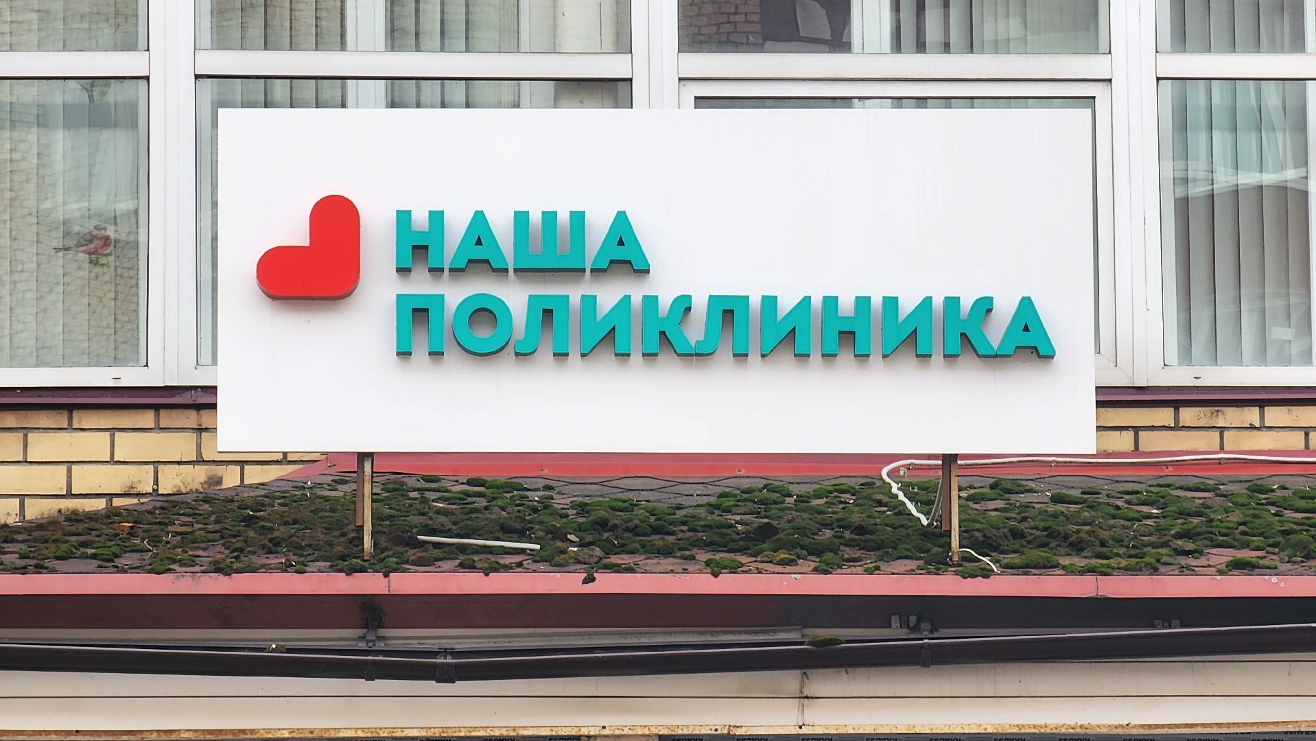 солнечногорск, медицина, оториноларинголог, новый специалист, детская поликлиника,