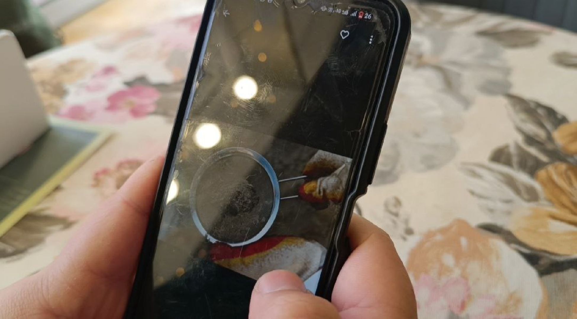 волонтры, анапа, лобня, вертикалки