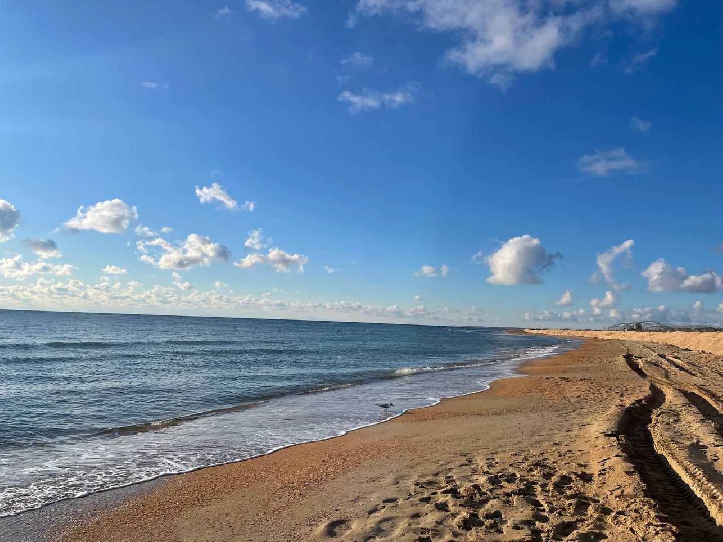 волонтры, анапа, лобня, вертикалки