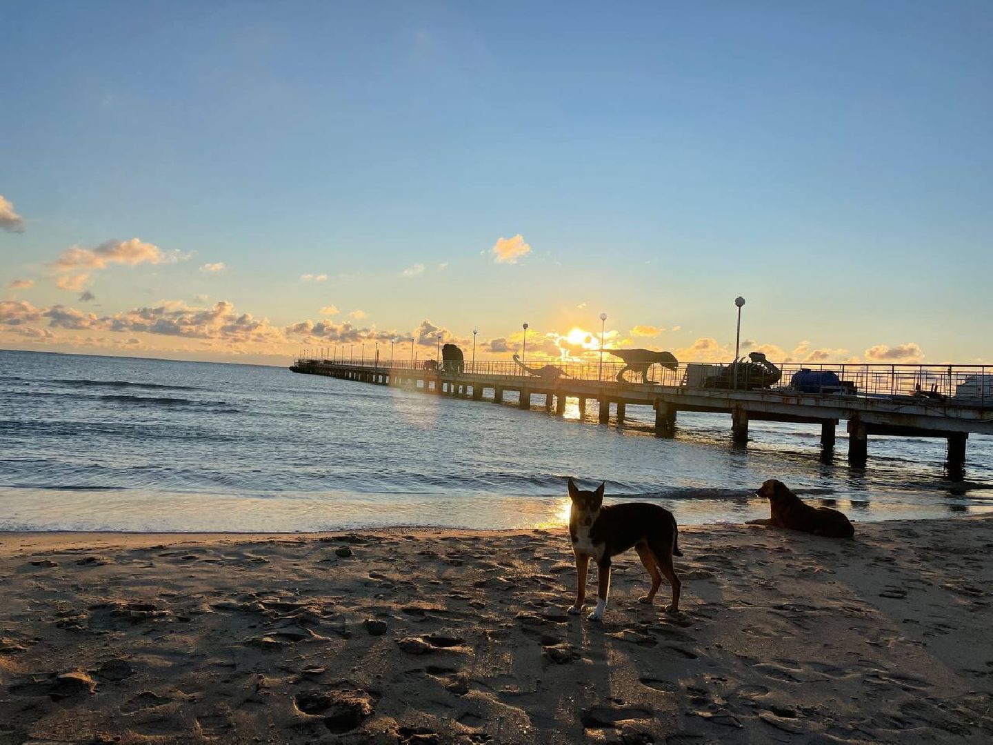 волонтры, анапа, лобня, вертикалки