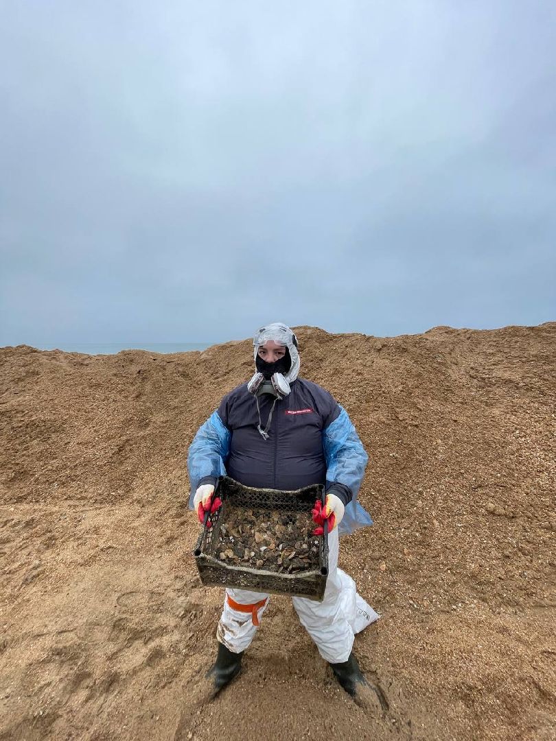 волонтры, анапа, лобня, вертикалки