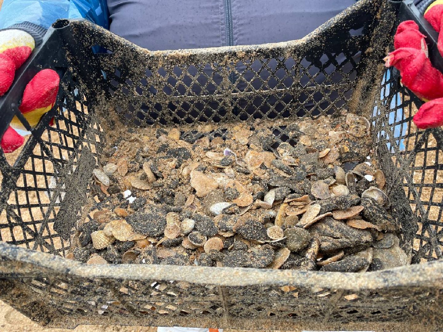 волонтры, анапа, лобня, вертикалки