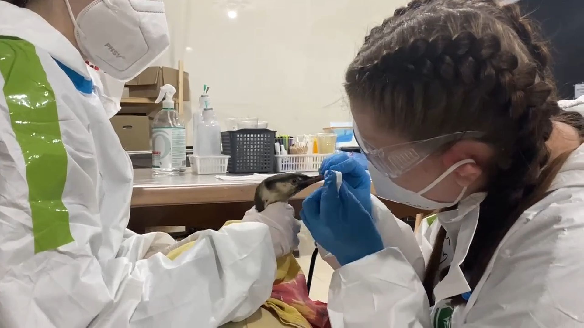 вертикалки, волонтеры подмосковья помогают в анапе, Волонтеры из Бронниц в Анапе,