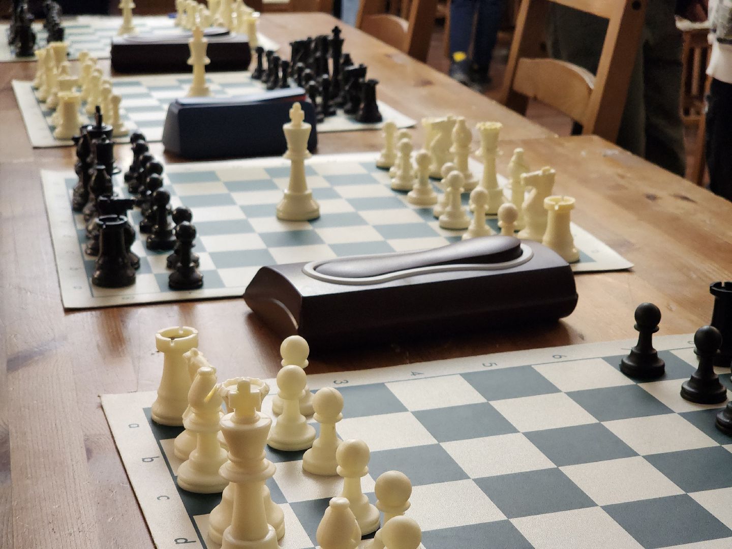 шахматы, турнир, соревнования, белая ладья,