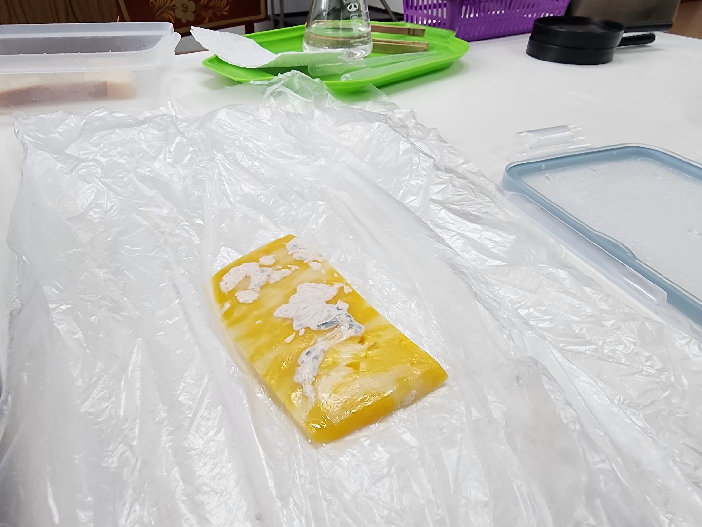 дети, 80-летие победы, созвездие, шатура, мастер-класс, ученые, биология,