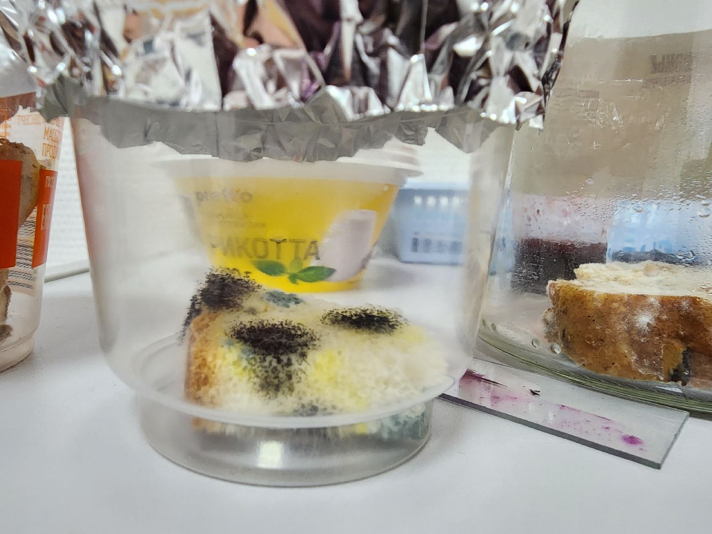 дети, 80-летие победы, созвездие, шатура, мастер-класс, ученые, биология,