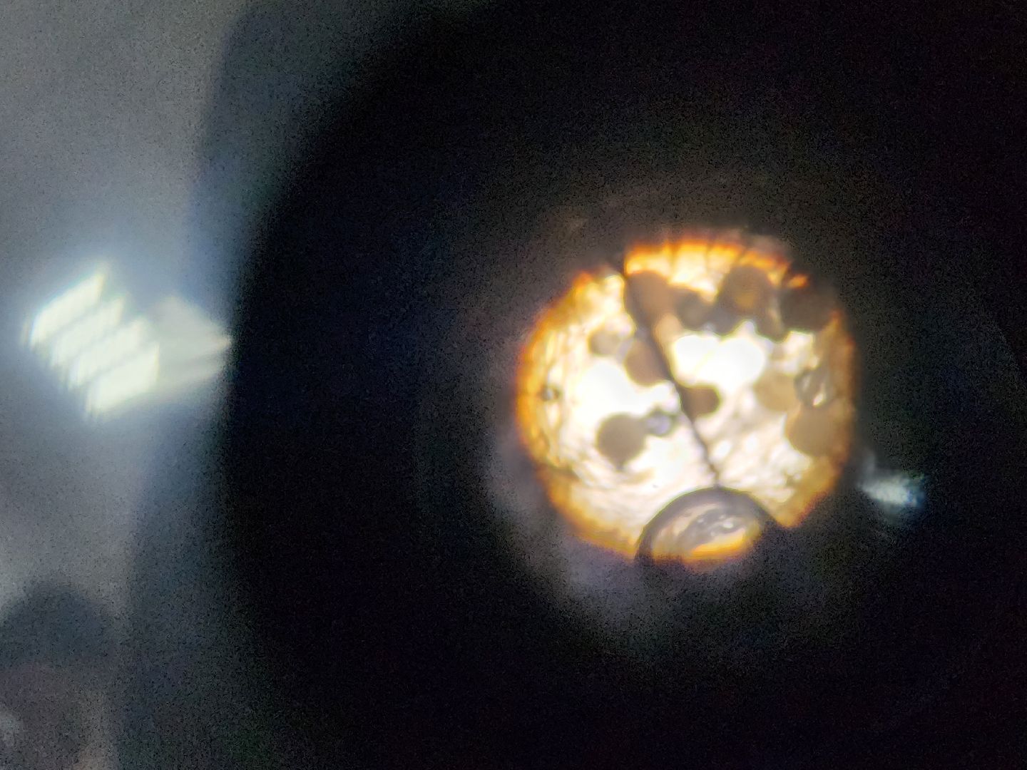 дети, 80-летие победы, созвездие, шатура, мастер-класс, ученые, биология,