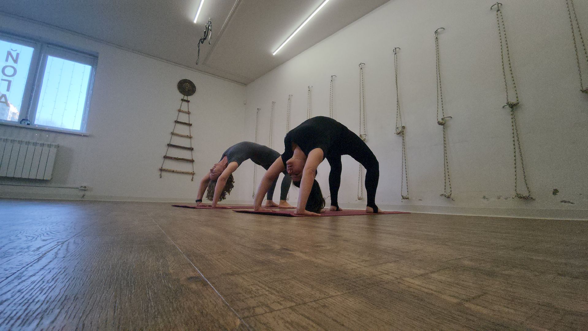 котельники, йога, практика, социальное предприятие, предприниматель,