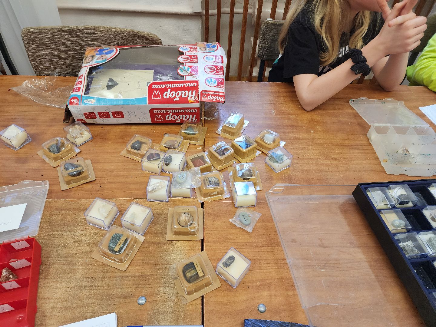 дети, геология, мгу,геошкола, олимпиада,