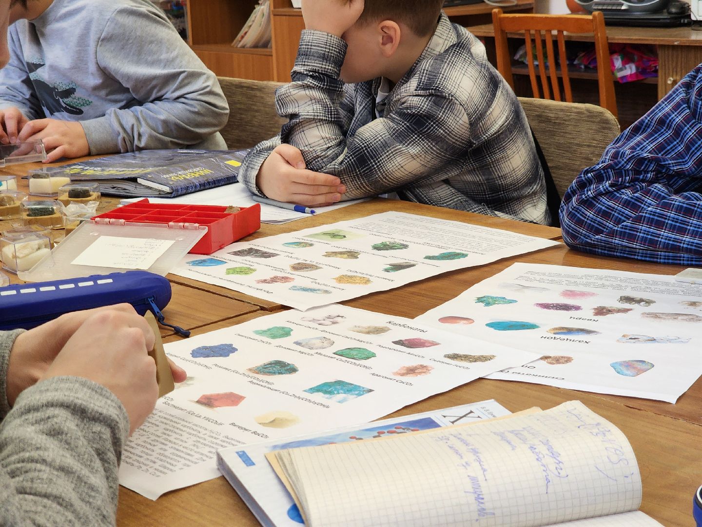 дети, геология, мгу,геошкола, олимпиада,