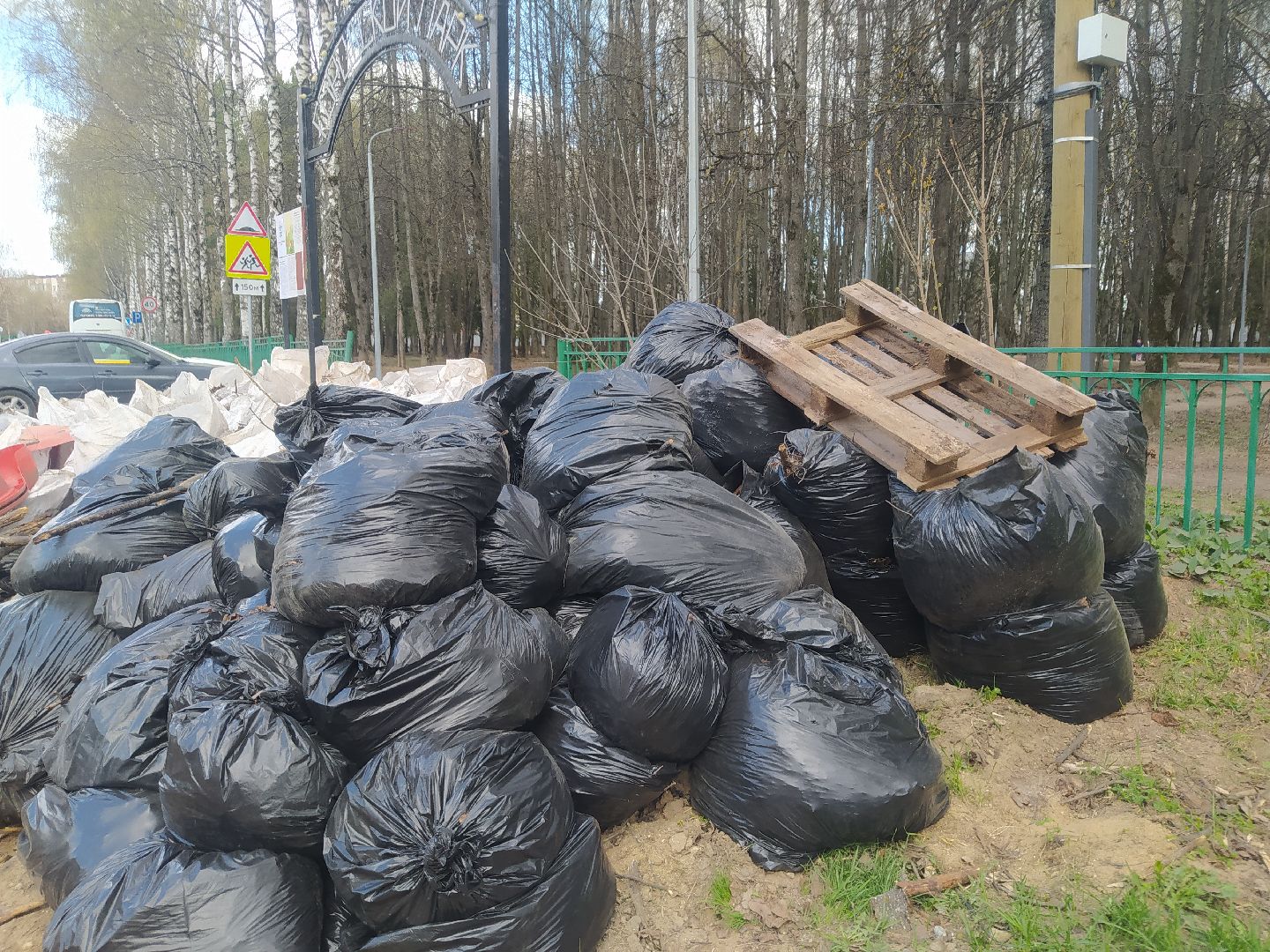 Дедовск, субботник, детский сад, уборка