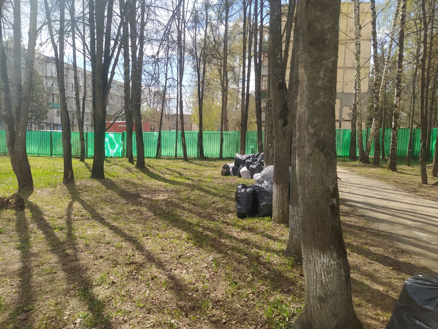 Дедовск, субботник, детский сад, уборка