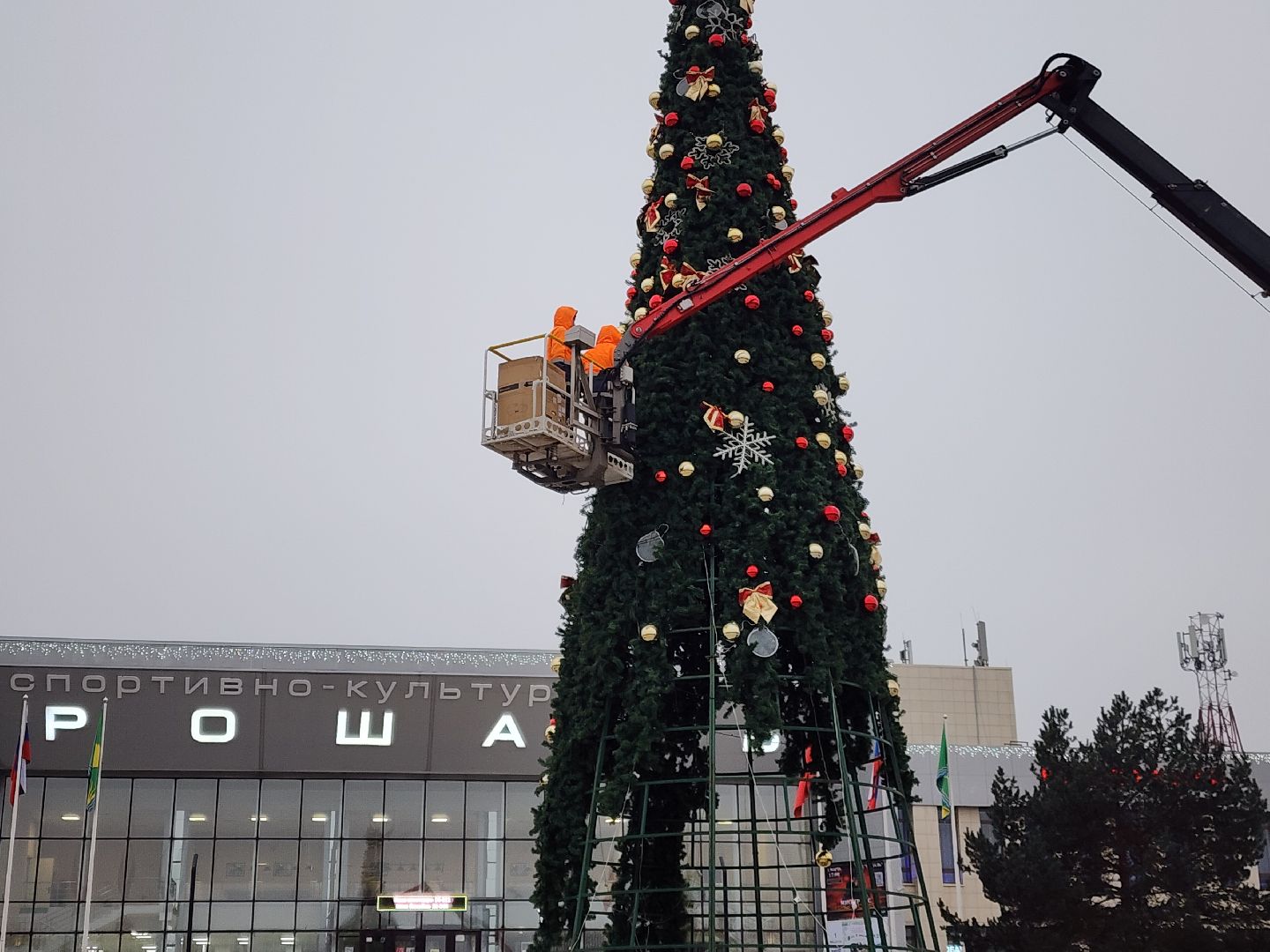 ёлка, благоустройство, демонтаж, вертикалки,