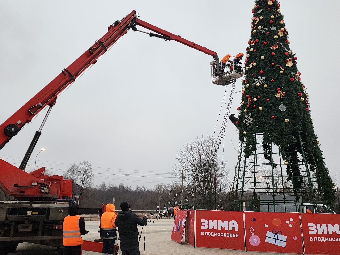 ёлка, благоустройство, демонтаж, вертикалки,