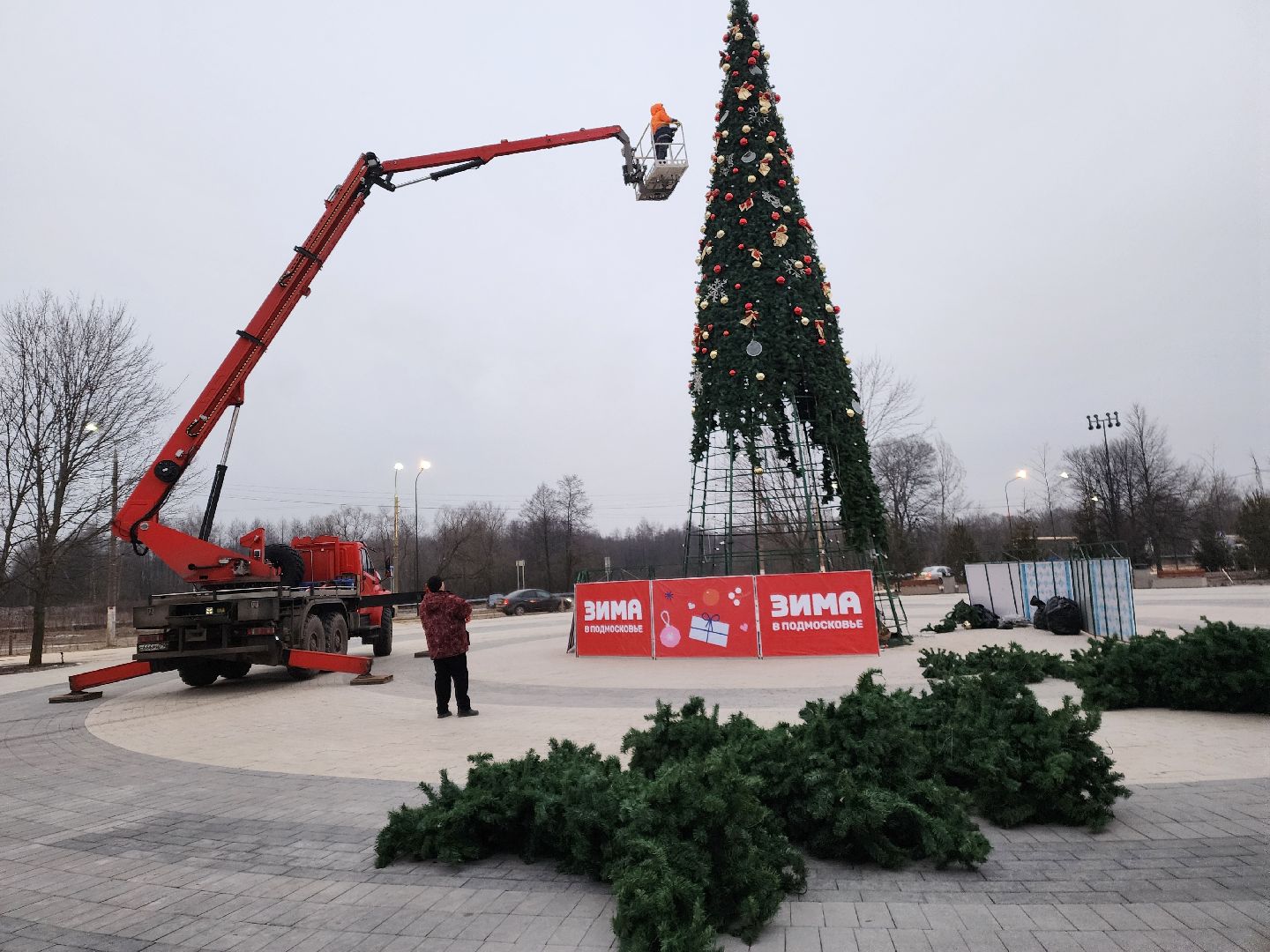 ёлка, благоустройство, демонтаж, вертикалки,