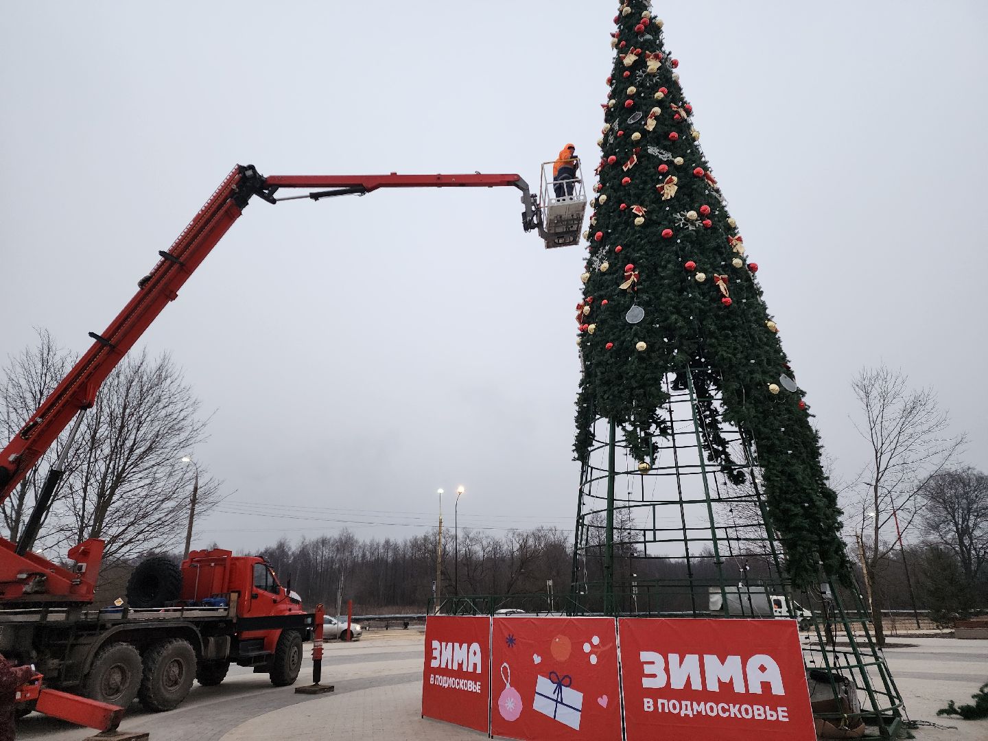 ёлка, благоустройство, демонтаж, вертикалки,