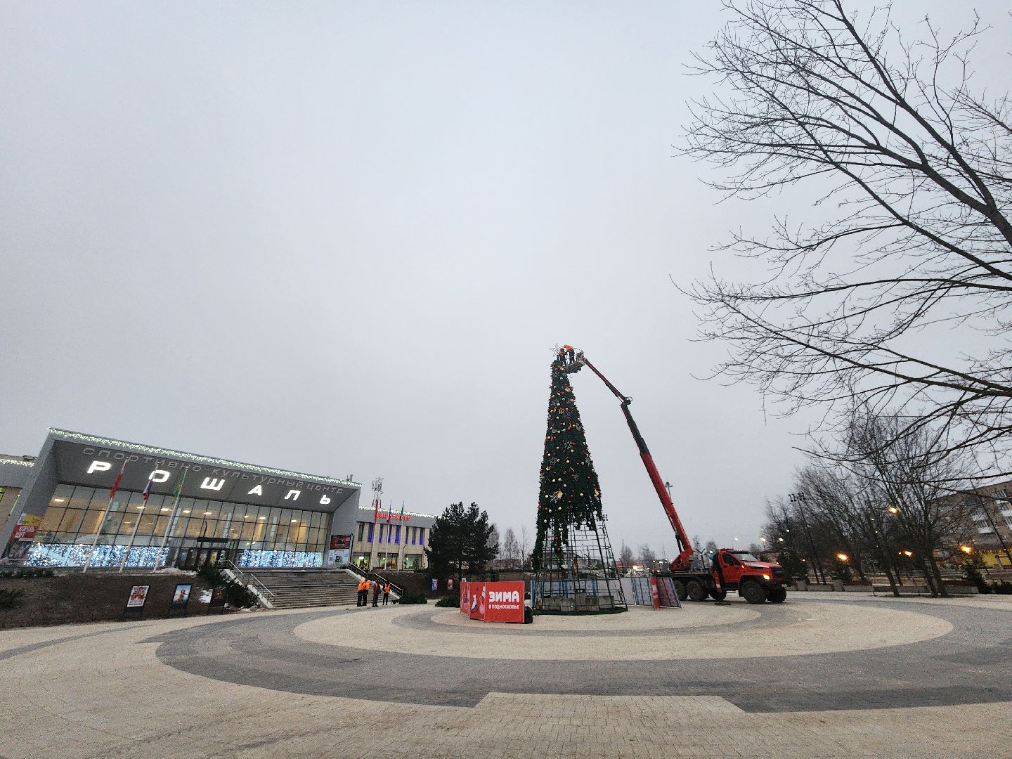 ёлка, благоустройство, демонтаж, вертикалки,