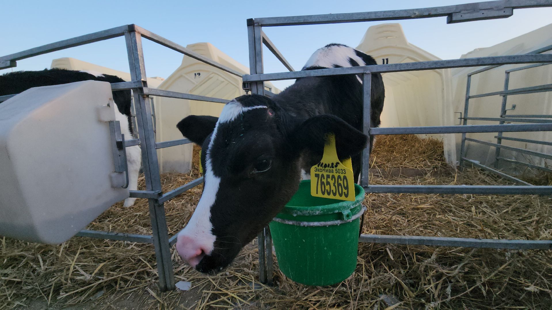 ступино, образование, промышленный туризм,