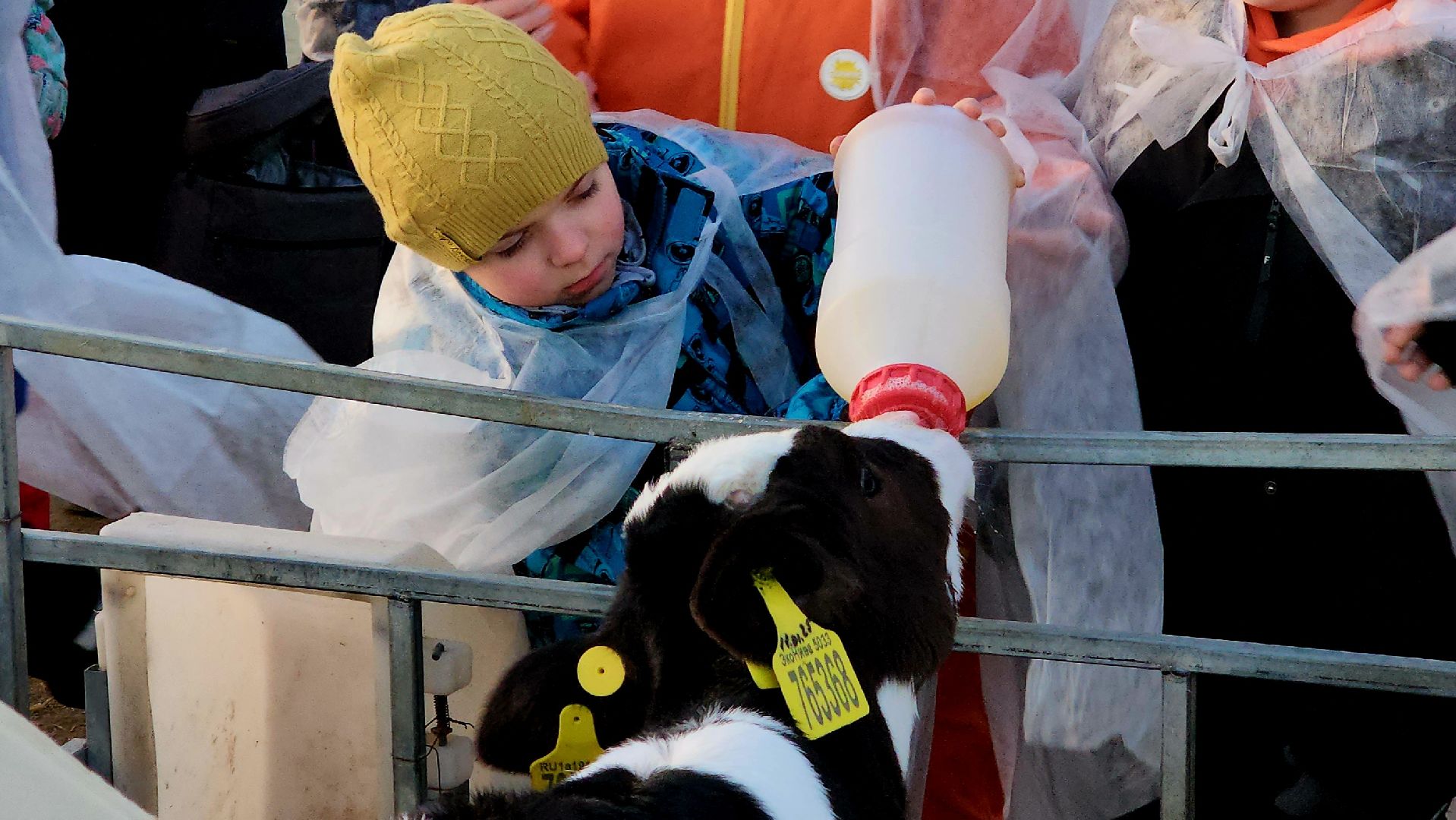 ступино, образование, промышленный туризм,