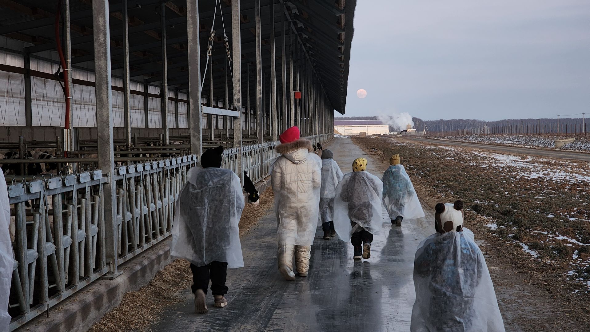 ступино, образование, промышленный туризм,
