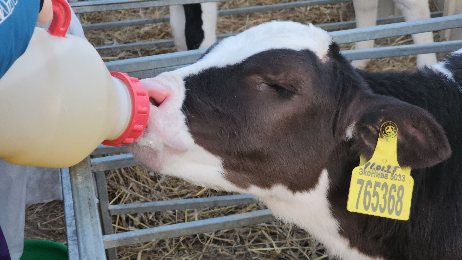 ступино, образование, промышленный туризм,