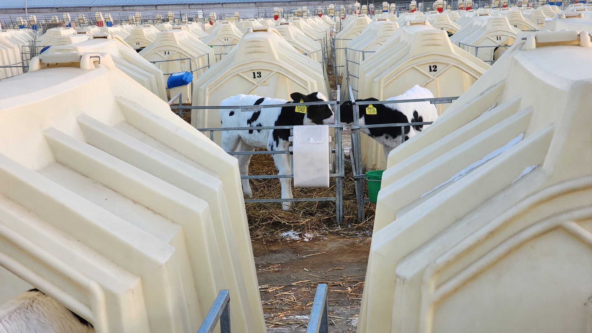 ступино, образование, промышленный туризм,