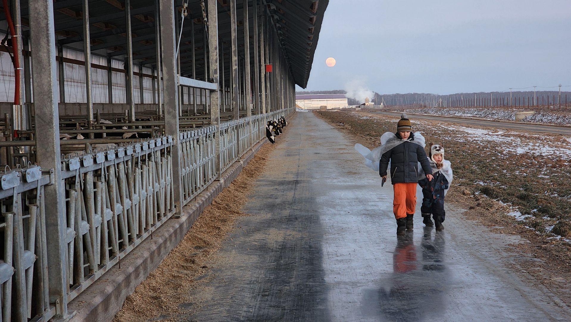 ступино, образование, промышленный туризм,