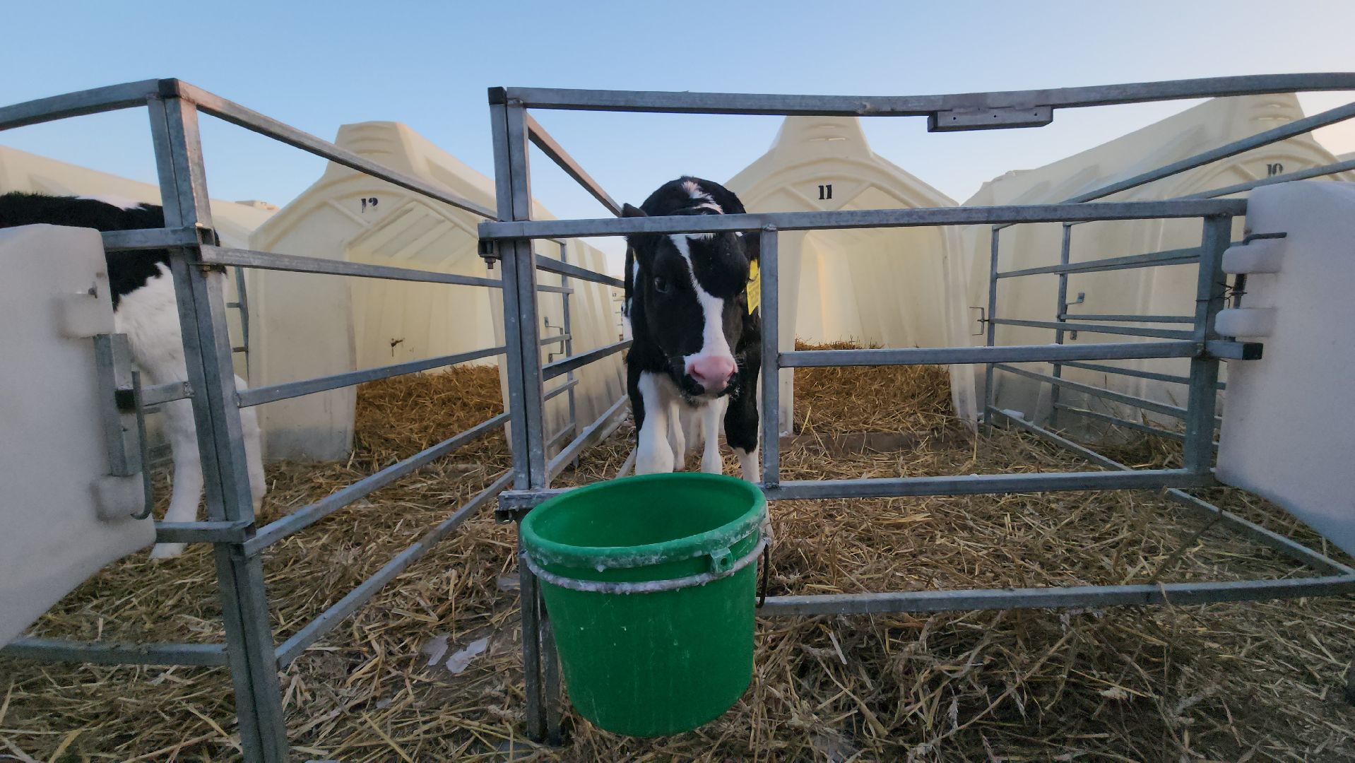 ступино, образование, промышленный туризм,