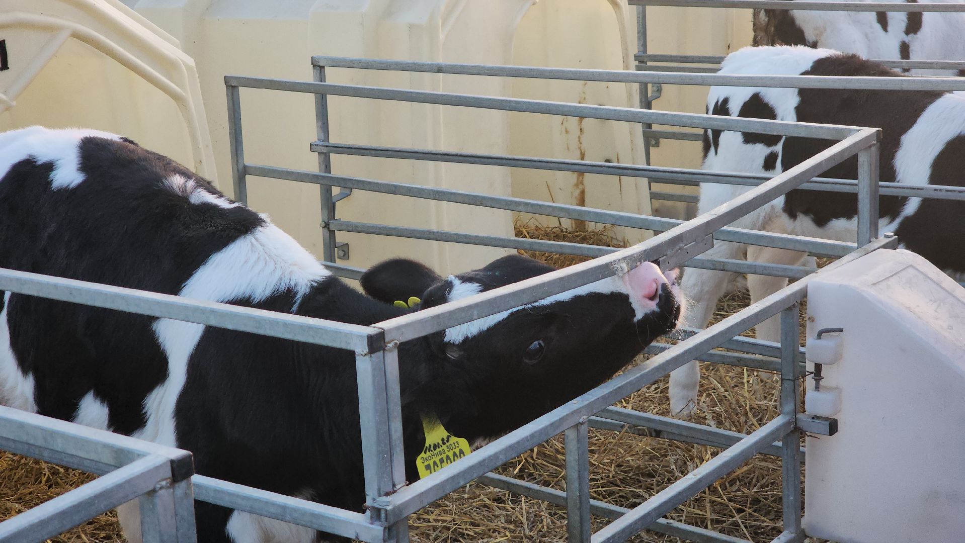 ступино, образование, промышленный туризм,