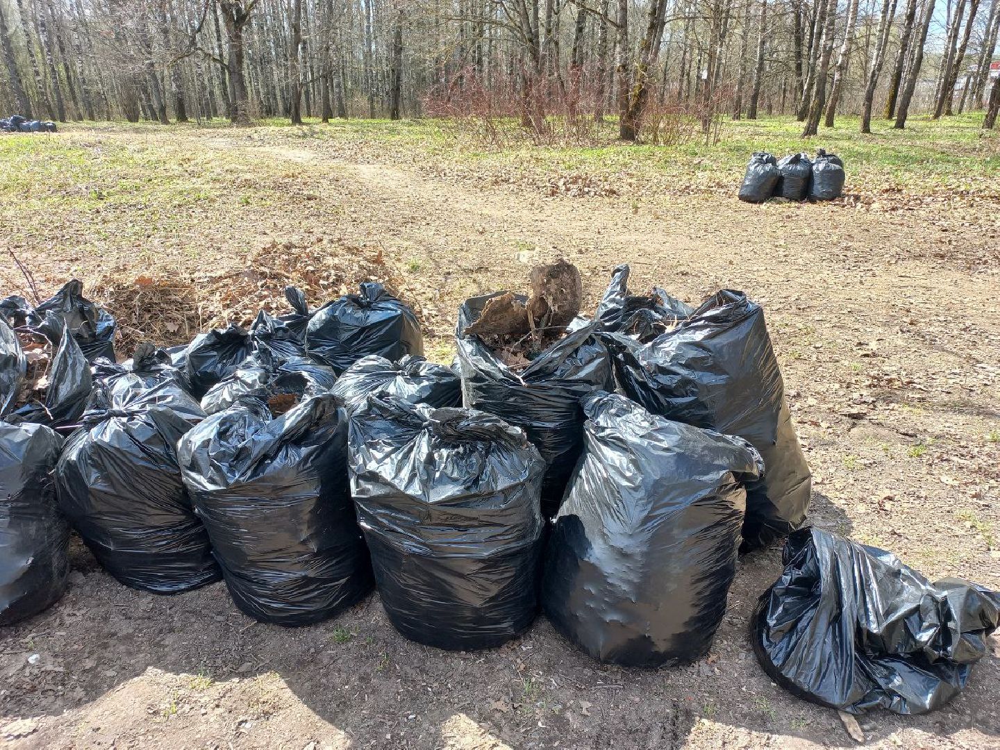 Солнечногорск, субботник, благоустройство, округ, чистота