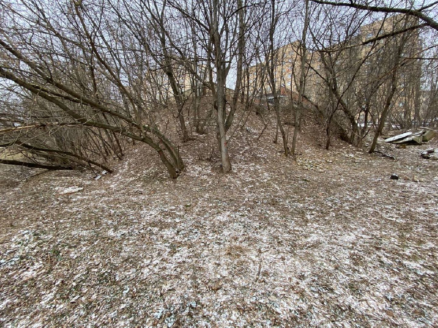 вертикалки, яблоневыйсквер, благоустройство, сквервкрасногорске, парквкрасногорске,