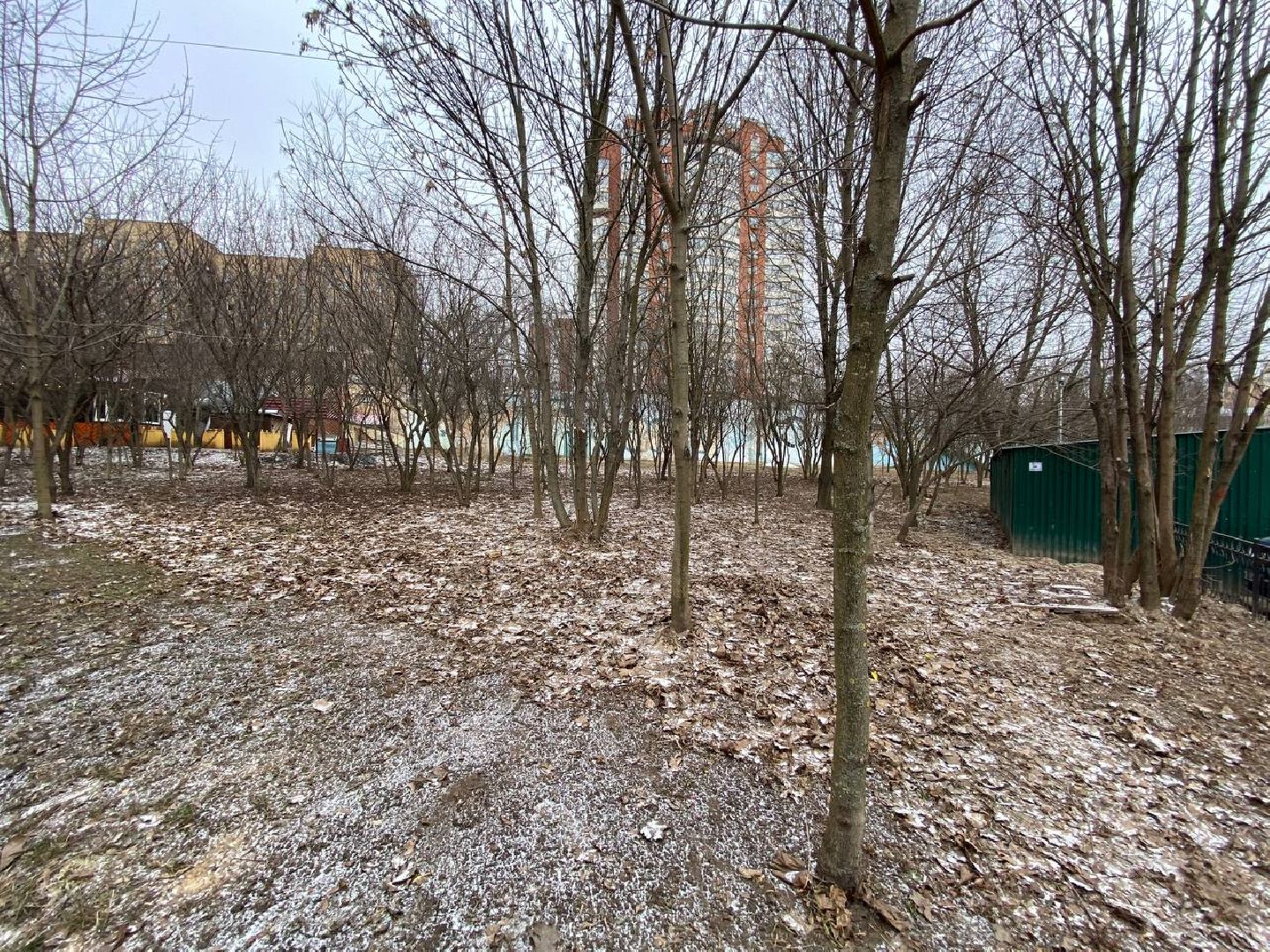 вертикалки, яблоневыйсквер, благоустройство, сквервкрасногорске, парквкрасногорске,