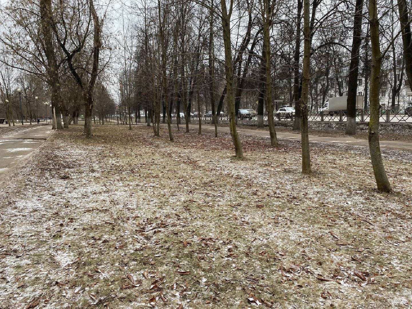 вертикалки, яблоневыйсквер, благоустройство, сквервкрасногорске, парквкрасногорске,